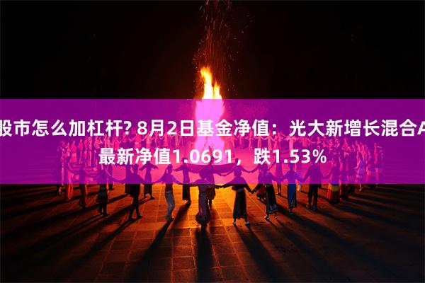 股市怎么加杠杆? 8月2日基金净值：光大新增长混合A最新净值1.0691，跌1.53%