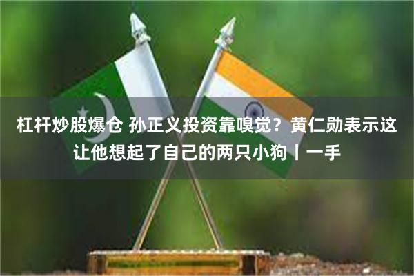 杠杆炒股爆仓 孙正义投资靠嗅觉？黄仁勋表示这让他想起了自己的两只小狗丨一手