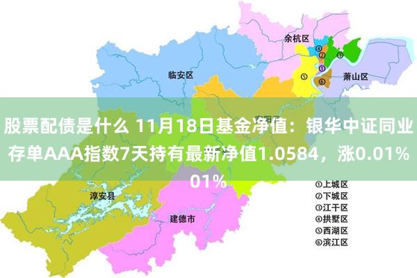 股票配债是什么 11月18日基金净值：银华中证同业存单AAA指数7天持有最新净值1.0584，涨0.01%