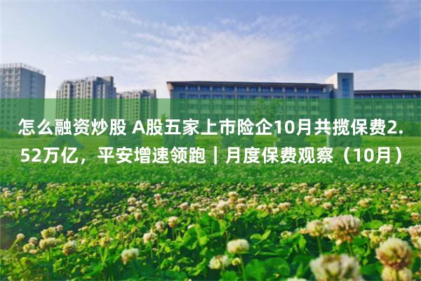 怎么融资炒股 A股五家上市险企10月共揽保费2.52万亿，平安增速领跑｜月度保费观察（10月）