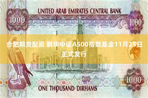 合肥期货配资 鹏华中证A500指数基金11月25日正式发行