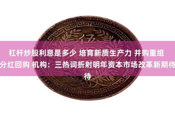 杠杆炒股利息是多少 培育新质生产力 并购重组 分红回购 机构：三热词折射明年资本市场改革新期待