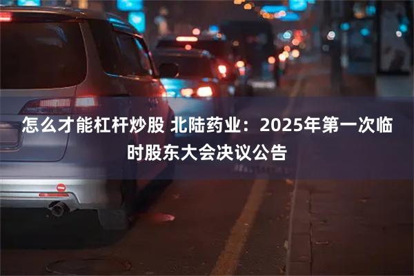 怎么才能杠杆炒股 北陆药业：2025年第一次临时股东大会决议公告